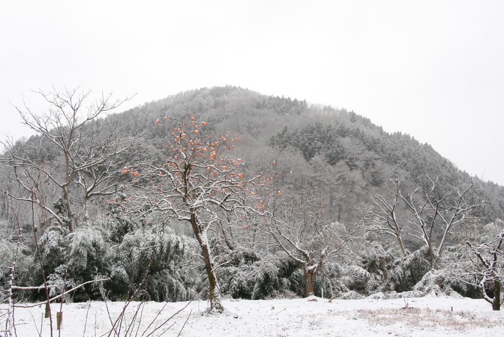 나카노 Madarao Farm 빌라 외부 사진