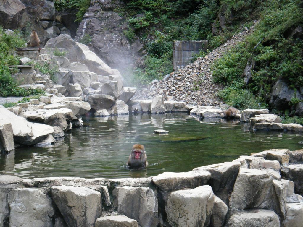 나카노 Madarao Farm 빌라 외부 사진